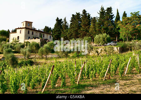 Campagna Toscana. San Giorgio, Poggibonsi, Siena, Toscana, Italia, Europa Foto Stock