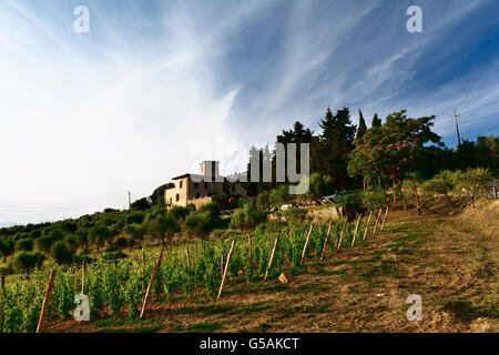 Campagna Toscana. San Giorgio, Poggibonsi, Siena, Toscana, Italia, Europa Foto Stock