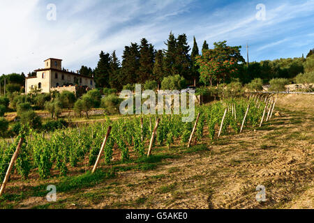 Campagna Toscana. San Giorgio, Poggibonsi, Siena, Toscana, Italia, Europa Foto Stock