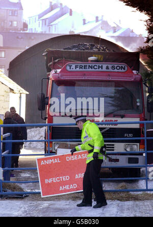 Il primo camion pieno di carbone per le pires arriva a Netherplace Farm a Lockerbie, davanti al compito di bruciare gli animali whisch si prevede di andare in corso più tardi nel giorno. In tutta la Scozia si chiede alla gente di tenersi lontano dalla campagna. * ...e grandi aree di parco, molti sentieri e foreste erano chiusi al pubblico. Foto Stock