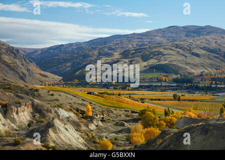 Storico sluicings oro e colori autunnali, Felton Road, Bannockburn e gamma di Pisa, vicino a Cromwell di Central Otago, Isola del Sud Foto Stock