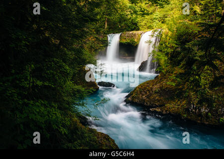 Vista di spirito cade sulla Little White Salmon River in Columbia River Gorge, Washington. Foto Stock