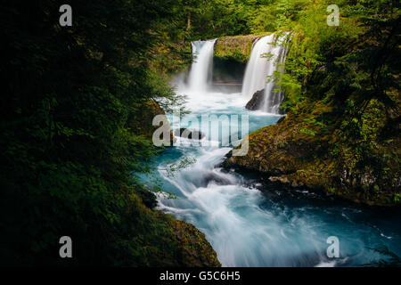 Vista di spirito cade sulla Little White Salmon River in Columbia River Gorge, Washington. Foto Stock