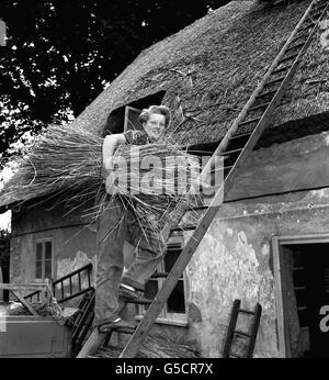 Avril Martin, 18 anni, creduto essere l'unica donna in Gran Bretagna impegnata nel mestiere di thatching, porta un fascio di canne sul tetto di un cottage su cui sta lavorando nel villaggio di Tolpuddle. La sua famiglia ha una tradizione di 200 anni di stacciatura. Foto Stock