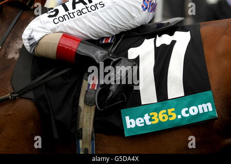 Horse Racing - 2012 gloriosa Goodwood Festival - bet365 Lennox Stakes giorno - Goodwood Racecourse Foto Stock