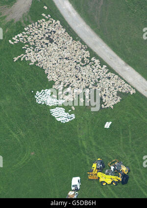 Gli animali morti Malham Moor Foto Stock