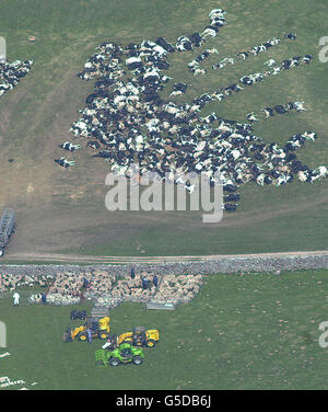 Gli animali morti Malham Moor Foto Stock