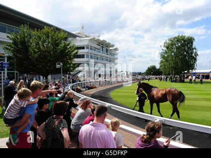 Corse di cavalli - Festival di corse in famiglia - Summer Raceday - Ippodromo di Epsom Downs. Gli spettatori guardano i cavalli nel ring della sfilata prima della quarta gara di Epsom Foto Stock