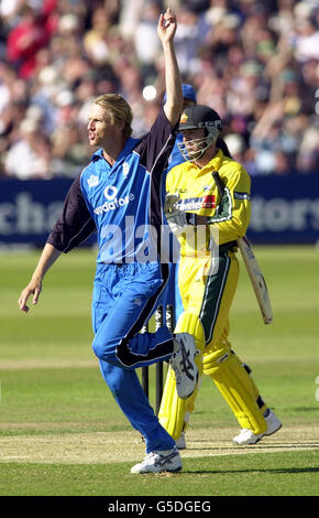 Il bowler inglese Alan Mullally (a sinistra) celebra la presa del wicket del martyn australiano Damien, durante la partita triangolare di un giorno della serie NatWest a Bristol. Foto Stock