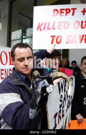 Gli agricoltori della penisola di Cooley, in Co. Louth , protestano fuori dal Parlamento irlandese, Dublino, per un maggiore risarcimento per gli animali macellati durante la crisi dell'afta epizootica. *...dal focolaio del Regno Unito nel febbraio 2001, si è verificato un solo caso confermato della malattia nella Repubblica che colpisce una pecora a Proleek, Co. Louth. Più di 50,000 animali sono stati successivamente macellati sulla penisola, che si trova vicino al confine con l'Irlanda del Nord. Foto Stock