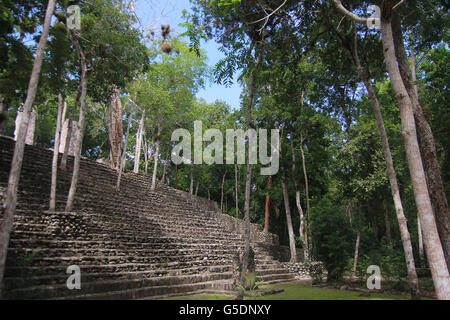 I ruderi di antiche città maya di Calakmul Foto Stock