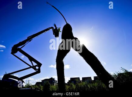 Willow Uomo per ottenere un lifting Foto Stock