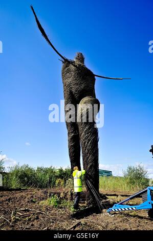 Willow Uomo per ottenere un lifting Foto Stock