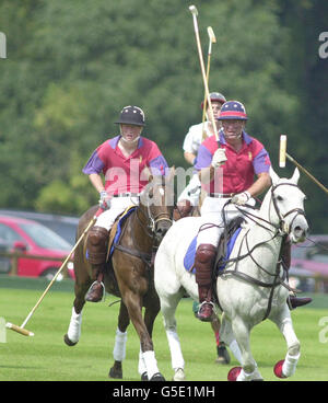 Polo Prince Harry Foto Stock