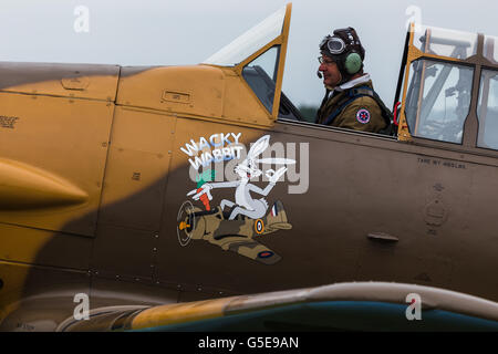 Wacky Wabbit T6 Harvard da vicino Foto Stock