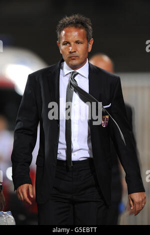 Calcio - Coppa del mondo FIFA 2014 - Qualifier - Gruppo A - Serbia / Galles - Stadio Karadjordje. Serbia Capo pullman Sinisa Mihajlovic Foto Stock