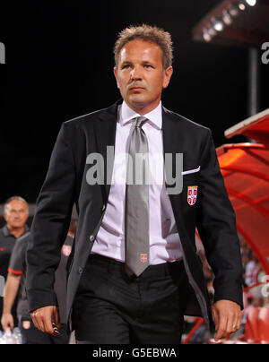 Calcio - 2014 FIFA World Cup - Il qualificatore - GRUPPO A - Serbia v Galles - Karadjordje Stadium Foto Stock