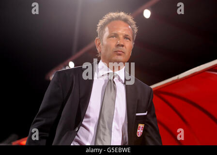 Calcio - 2014 FIFA World Cup - Il qualificatore - GRUPPO A - Serbia v Galles - Karadjordje Stadium Foto Stock