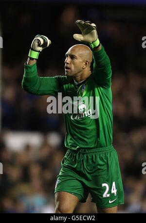 Tim Howard, portiere di Everton, festeggia dopo che il suo compagno di squadra Leighton Baines (non in foto) ha ottenuto il suo obiettivo di apertura Foto Stock