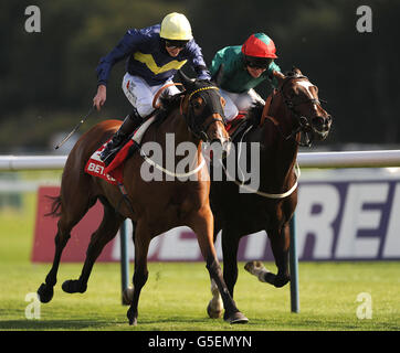 Horse Racing - Betfred Sprint Cup Festival - Giorno 2 - Ippodromo di Haydock Park Foto Stock