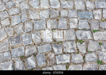 Strada di ciottoli closeup in città come sfondo. Foto Stock