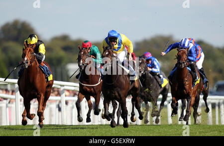 Corse ippiche - 2012 Dubai Duty Free International Weekend - 2° giorno - Ippodromo di Newbury. Moohaajim guidato da Adam Kirby (centro) sulla strada per la vittoria nel Duty Free Mill Reef Stakes di Dubai all'ippodromo di Newbury. Foto Stock