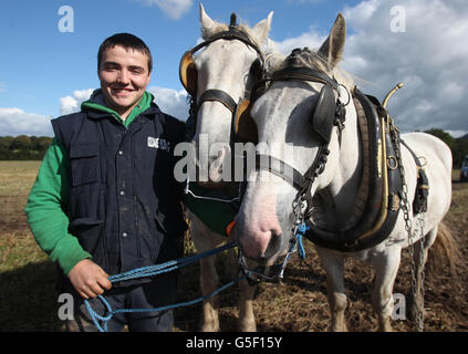 Patrick Commane detiene i cavalli da traino irlandesi di suo padre durante i Campionati nazionali di aratura a New Ross, Co.Wexford, il secondo giorno dei Campionati. Foto Stock