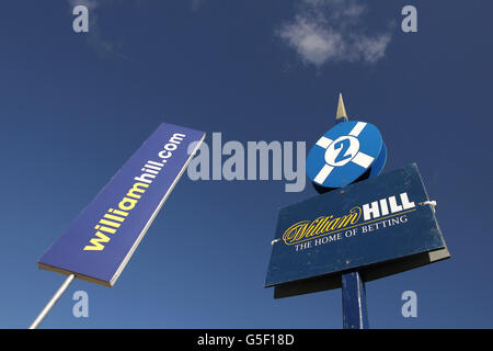 Corse ippiche - William Hill Ayr Gold Cup - Ladies' Day. Vista generale dell'ippodromo di Ayr Foto Stock