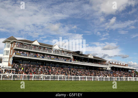 Corse ippiche - William Hill Ayr Gold Cup - Ladies' Day. Vista generale dell'ippodromo di Ayr Foto Stock