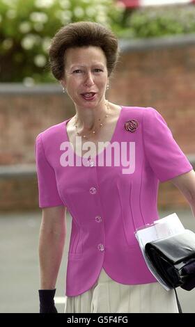 Birmingham Princess Anne la criminalità Foto Stock