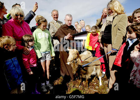 "Caprino per Howth' progetto Foto Stock