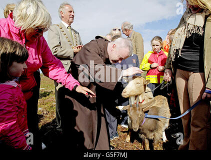 "Caprino per Howth' progetto Foto Stock