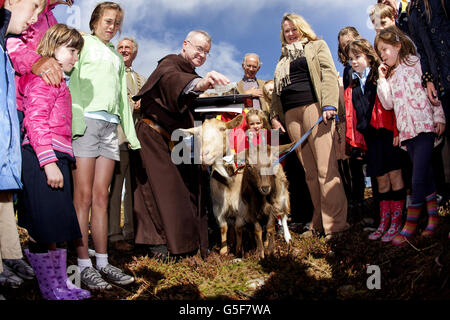 "Caprino per Howth' progetto Foto Stock