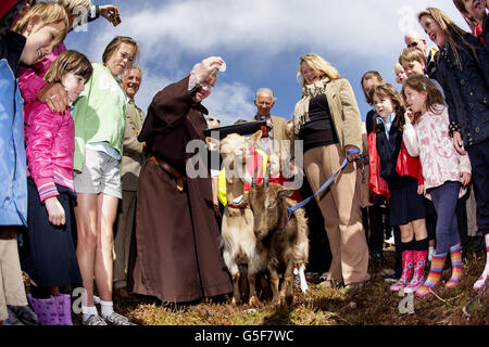 "Caprino per Howth' progetto Foto Stock