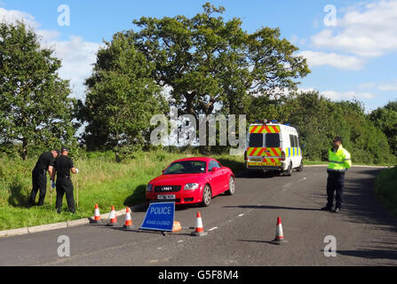 La polizia è vicina alla scena in un vicolo di Ashill al largo della A358 vicino Ilminster, Somerset, dopo che una giovane donna è stata scoperta morta in un'auto in fiamme. Foto Stock