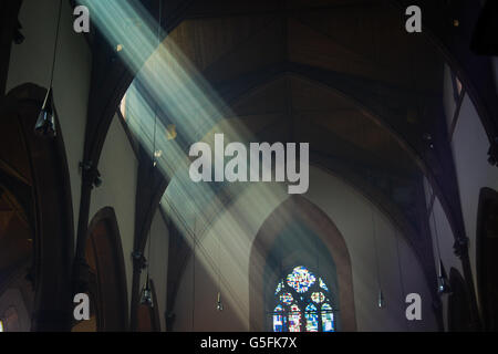 Gli alberi di luce di flusso in la finestra della chiesa Foto Stock