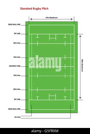 Schema di un normale campo da rugby Foto Stock