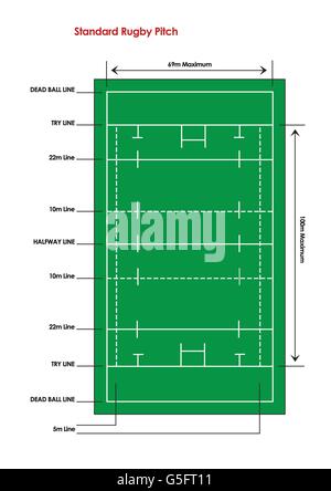 Schema di un normale campo da rugby Foto Stock