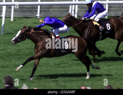 Corse Noverre e Frankie Dettori. No 9 Noverre e Frankie Dettori vince la terza gara dal n. 8 Nessuna scusa necessaria e Kieren Fallon nella Champagne Lanson Sussex Stakes. Foto Stock