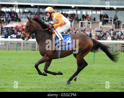 Corse di cavalli - Il Cambridgeshire incontro - Shadwell giorno - Newmarket Racecourse Foto Stock