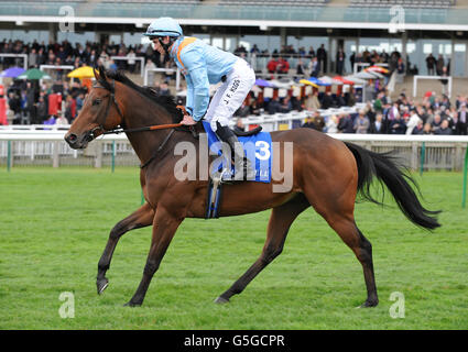 Penitente indetto da Daniel Tudhope nel Nayef Joel Stakes (British Champions Series) (Gruppo 2) Foto Stock