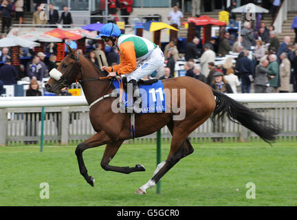 Ladys primo guidato da Paul Hanagan nel Mawatheeq Rosemary Stakes (elenco dei fillies) Foto Stock