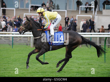 Masarah guidato da Tom Queally nel Mile di Shadwell Fillies (Gruppo 1) Foto Stock