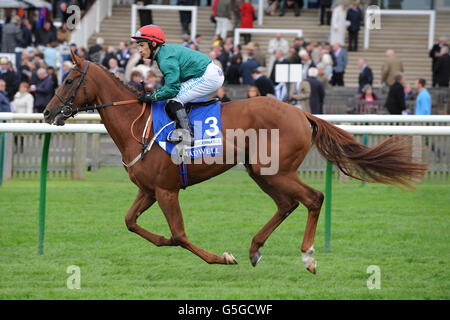 Distinguibile guidato da Silvestre De Sousa nel miglio di Shadwell Fillies (Gruppo 1) Foto Stock