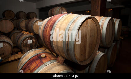 Botti da vino in cantina. Foto Stock