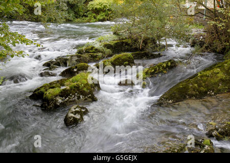 Aprile Jones mancante Foto Stock