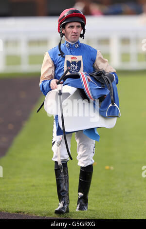 Corse ippiche - Bathwick Tires ingresso ridotto Race Day - Sailsbury Racecourse. Jockey Neil Callan Foto Stock