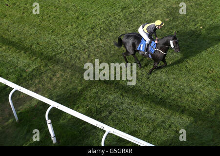 Horse Racing - Deluxe Doubles pneumatici biglietto ridotto il giorno della gara - Ippodromo di Salisbury Foto Stock