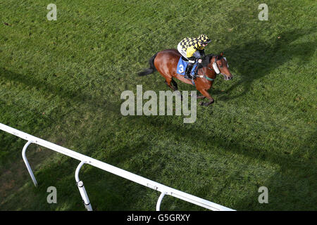 Horse Racing - Deluxe Doubles pneumatici biglietto ridotto il giorno della gara - Ippodromo di Salisbury Foto Stock