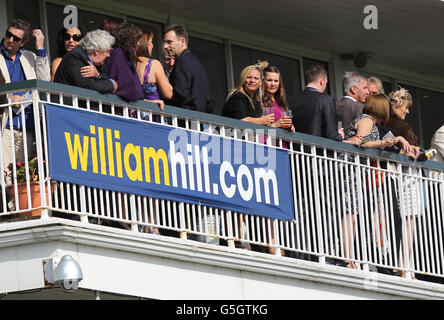 Horse Racing - William Hill Ayr Gold Cup - Ayr Gold Cup giorno Foto Stock